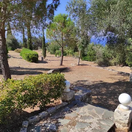 Πανσιόν La Terrazza Di Carlo E Luisa Ζάκυνθος Πόλη